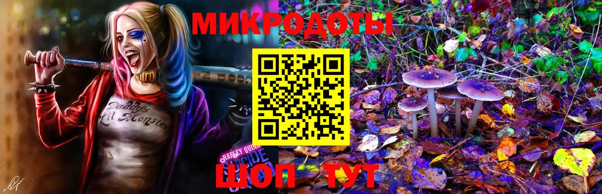 Галлюциногенные грибы Psilocybine cubensis Азов